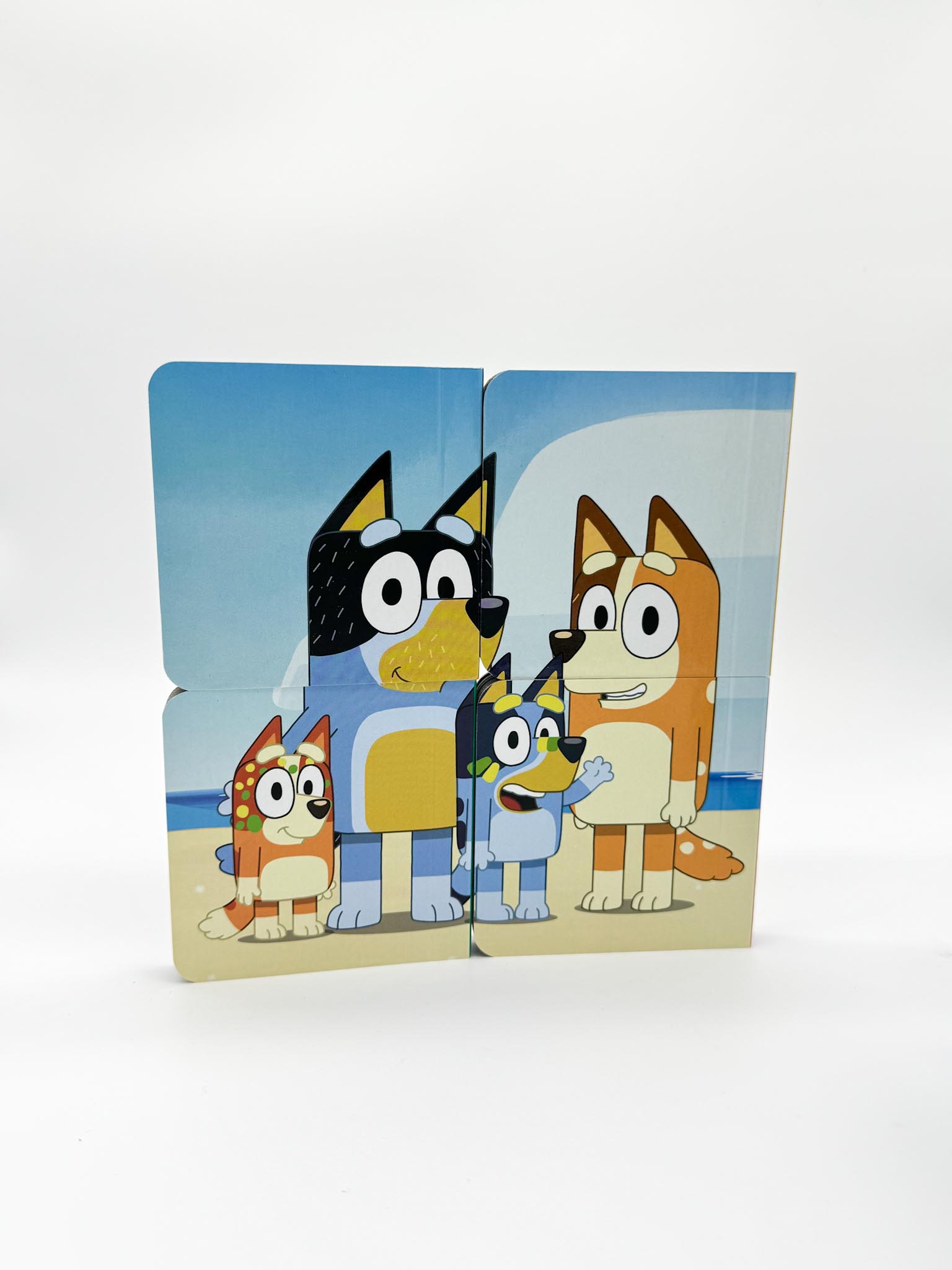 Bluey – Little Library (Set de 4 Mini Libros Cartoné) - Imagen 7